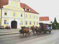 Kutschenfahrt Kutschenfahrt