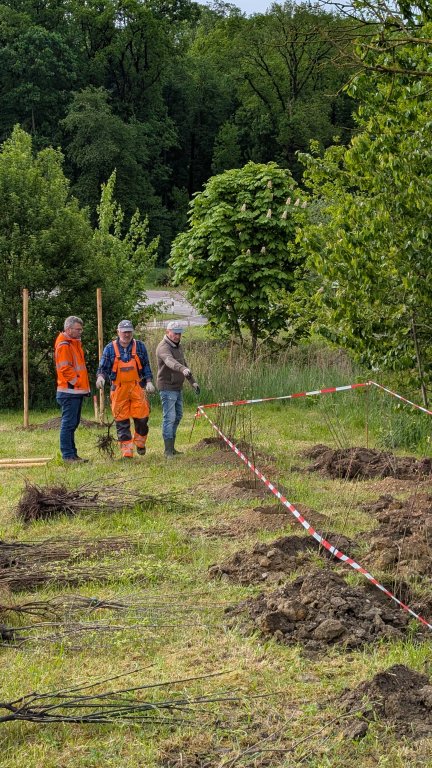 Pflanzaktion STS - Gemeinde - ausstecken - von Martin Koch