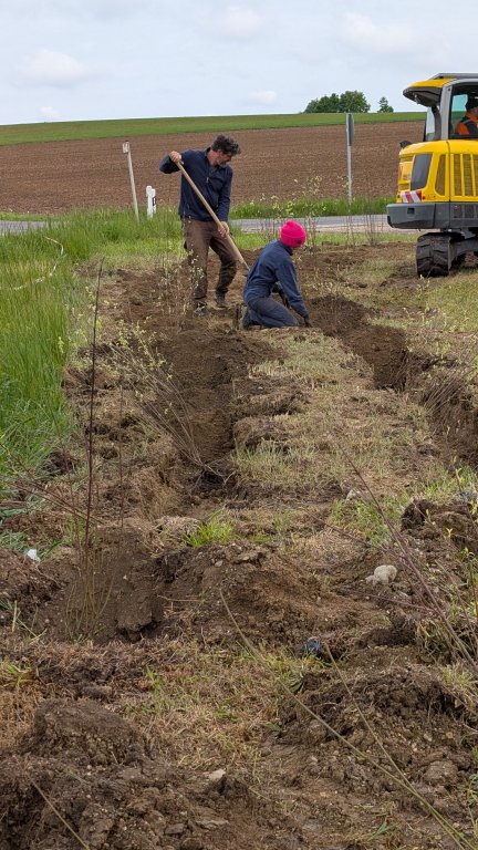 Pflanzaktion STS - Gemeinde - graben - von Martin Koch